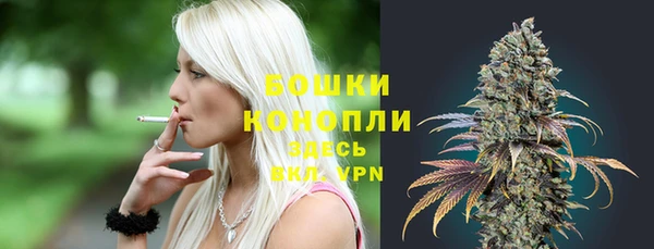 ешки Горняк