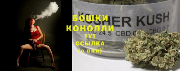 ешки Горняк