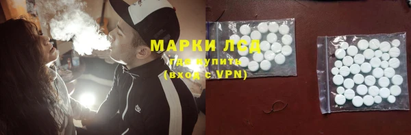 ешки Горняк