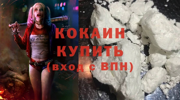 ешки Горняк