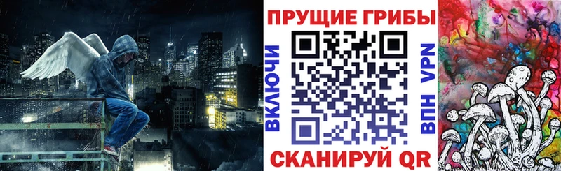 Купить  Славянск-на-Кубани  Галлюциногенные грибы Cubensis 