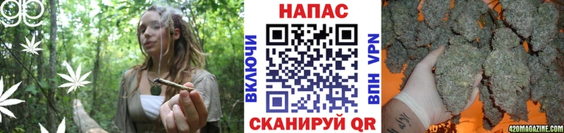 Купить где  Славянск-на-Кубани  Бошки Шишки THC 21% 